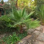 Petit Bed & Breakfast Thuir