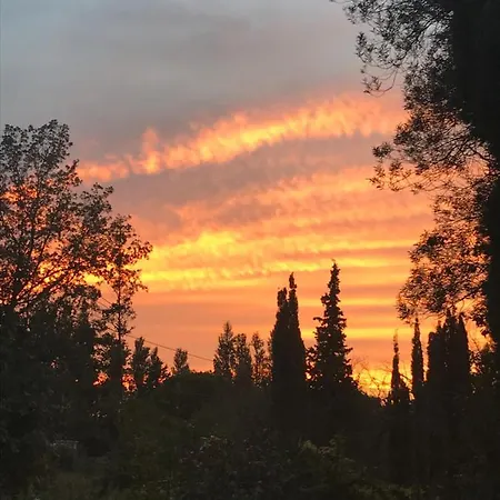 Petit Oda ve Kahvaltı Thuir