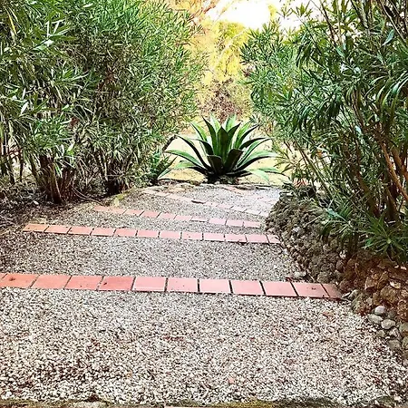 לינה וארוחת בוקר Petit