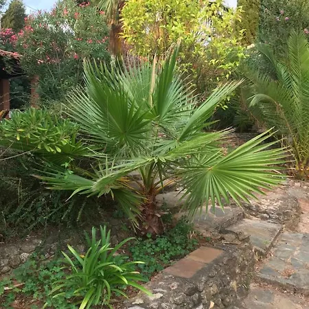 Petit לינה וארוחת בוקר טוייר