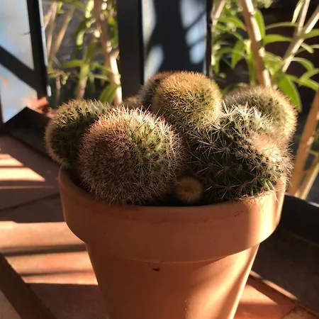 Nocleg ze śniadaniem Petit Thuir