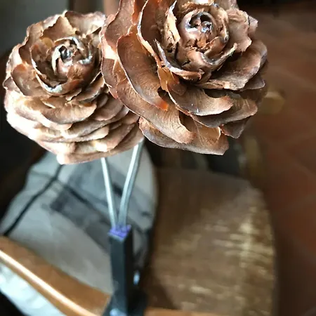 Petit Nocleg ze śniadaniem 3*