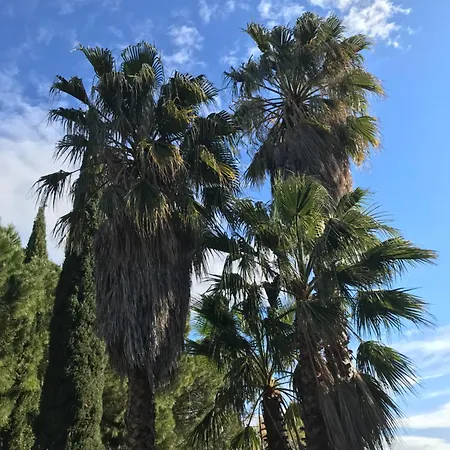 Nocleg ze śniadaniem Petit