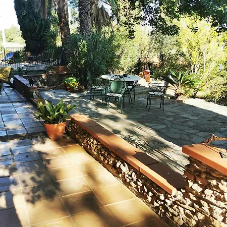 לינה וארוחת בוקר Petit