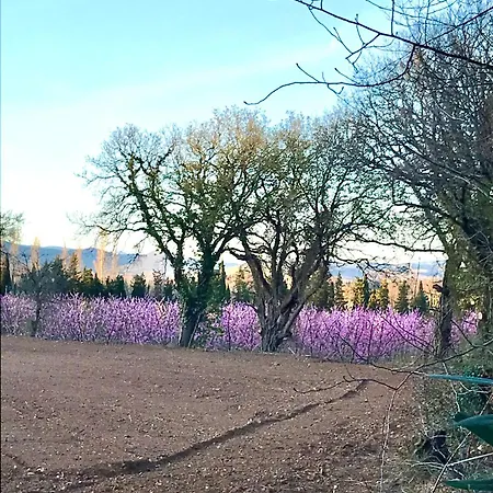 Nocleg ze śniadaniem Petit