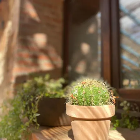 לינה וארוחת בוקר Petit 3*