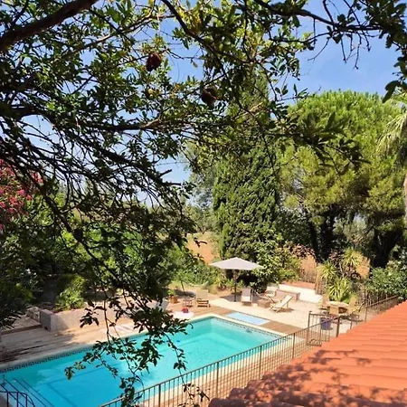 Petit לינה וארוחת בוקר טוייר