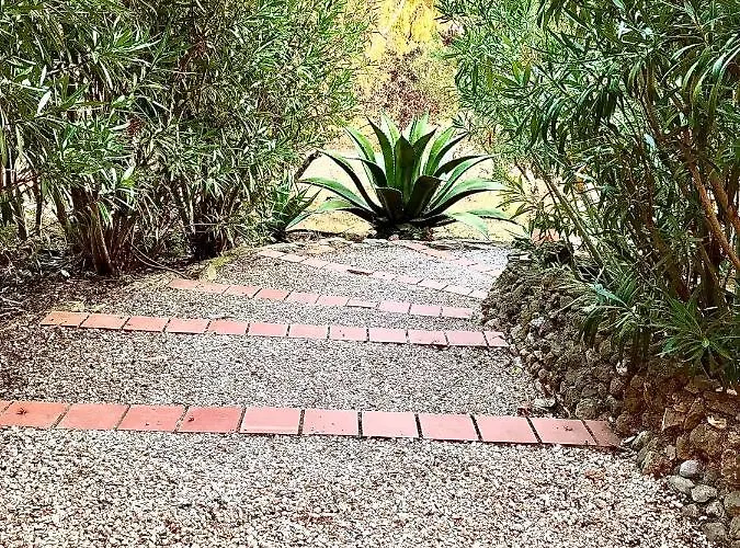 Alojamento de Acomodação e Pequeno-almoço Petit