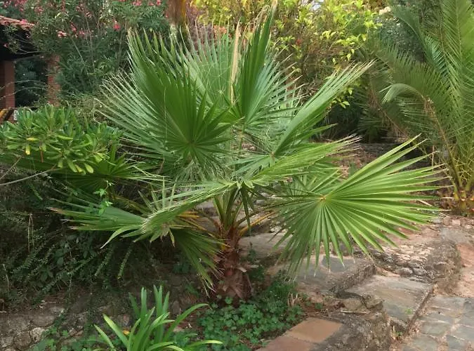 Petit Alojamento de Acomodação e Pequeno-almoço Thuir