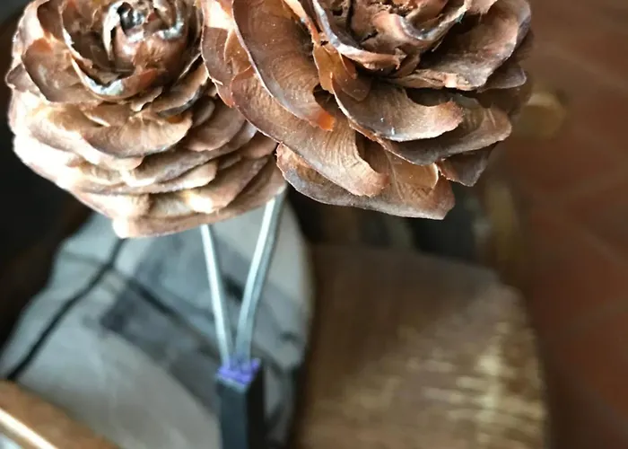 Petit Alojamento de Acomodação e Pequeno-almoço 3*