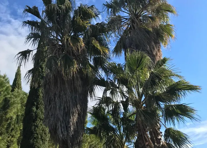 Alojamento de Acomodação e Pequeno-almoço Petit