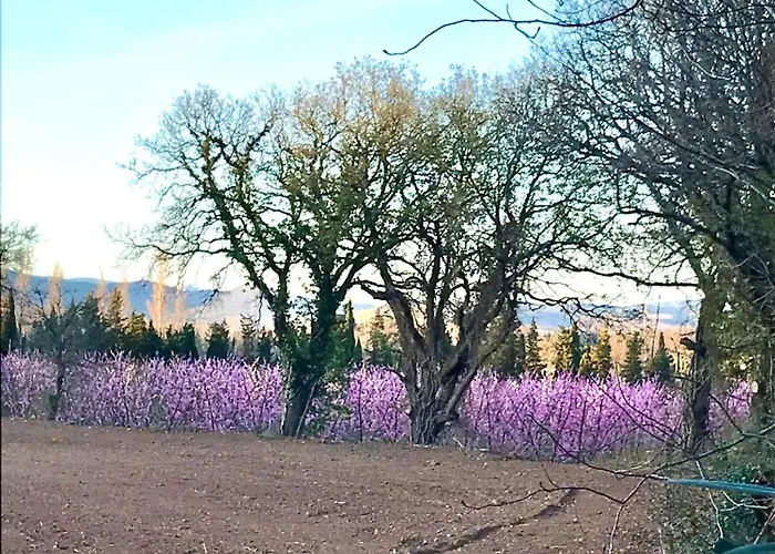 Alojamento de Acomodação e Pequeno-almoço Petit