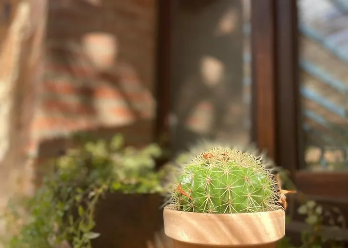 Alojamento de Acomodação e Pequeno-almoço Petit 3*