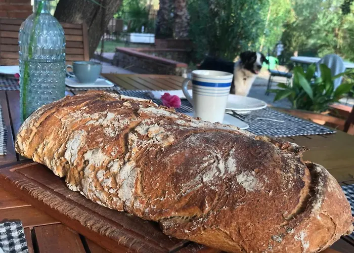 Petit Alojamento de Acomodação e Pequeno-almoço Thuir